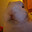 orville