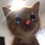 uwu