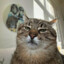 lorenzaaa-