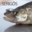 Serigös