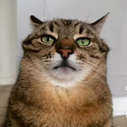 ϺΑƓΑƊΑƝ - steam id 76561199507111412