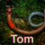 Tom The Worm