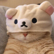 ss