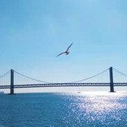 可爱又迷人的反派角色