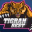 tigran5656