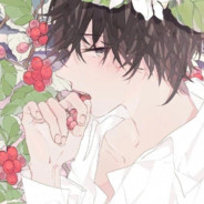 鱼子哥没有爱情