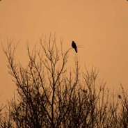 我的意中人是位盖世英雄♥