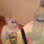 Alcoho(love)
