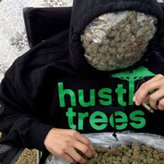 ☛︎ت︎☚Hustrees-./