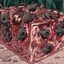 rat cube