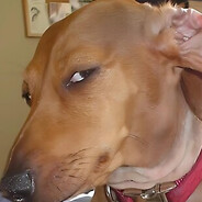 𝓭𝓻𝓮𝓪𝓶𝓮𝓻