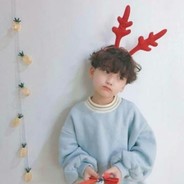 爱抱抱的胖浣熊