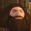 PS1 Hagrid