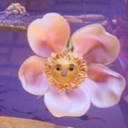 v50助力东山再起