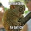 lilly_frostmonkey