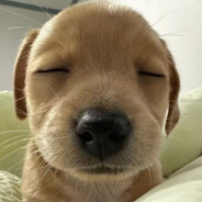 小噫大王万万岁