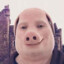 John Pork