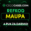 N1 Maupa Cs2skin.gift