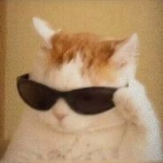 爱吃菜的舒舒子