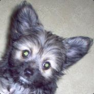 OskarBjorn - steam id 76561197965592660
