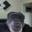 rogerdmn