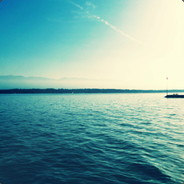 垃圾蓝洞，误封我号