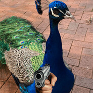 Pieced Up Peacock