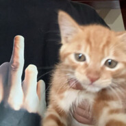 压不住ak，也压不住想她