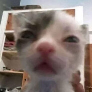 你和我这种吊丝计较什么？