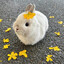 AngelicBun143