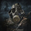 preorder.stalker2