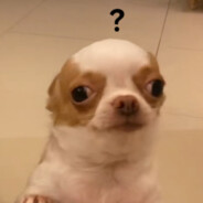 我向山神借来东风，我有何做不得那林冲