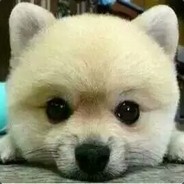 甜不辣