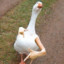 Goose#2 1337