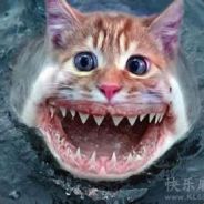 阿妈炖了一锅稀饭