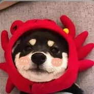 𝙎𝙃𝙓𝘽𝙀𝙍𝙍𝙍