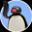 Pingu