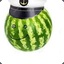 Captain Melon