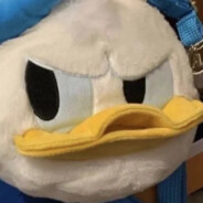 乌鸦雾里为栖0.o