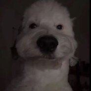 DGgaralixx