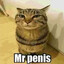 Mr. Пенис
