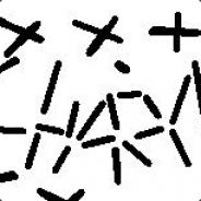 sharin zamianabanananaananasy