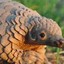 Benjamin le pangolin