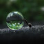 TV/Black911ANT