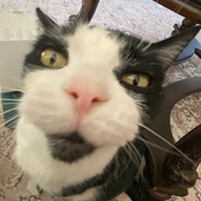 Dr. Clarticus