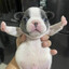 sneakers o'toole
