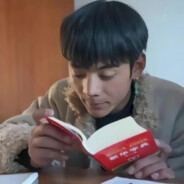 知识の学爆丁真