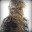 [S.W.] Chewbacca (Blitz)