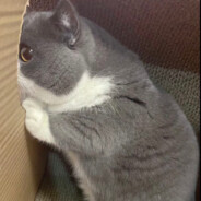 手感好能杀一个