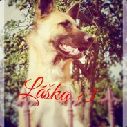 ★★/N3xIS_7oM/ ツ★★